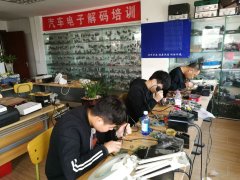 美女被操到黄色鸡鸡视频